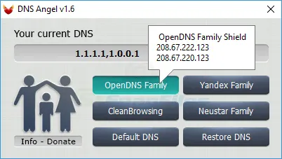 DNS Angel 截图 2