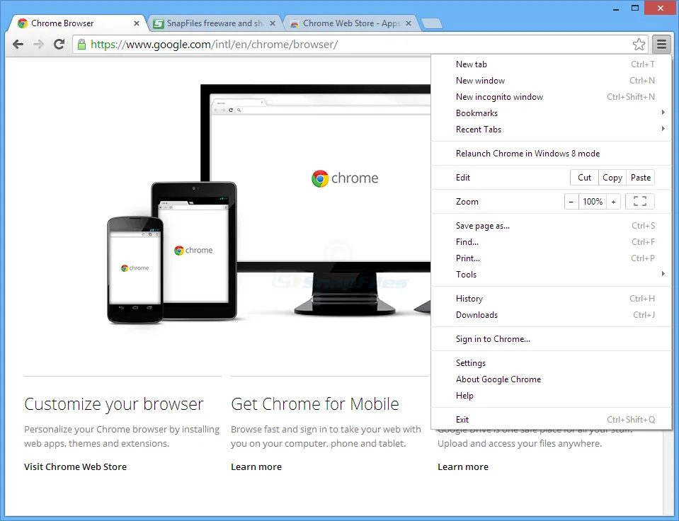 Google Chrome 截图 1