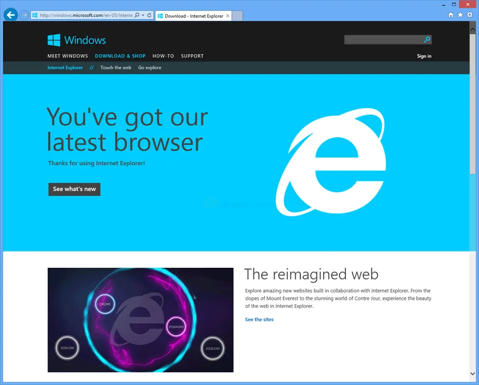 Internet Explorer 11 (Win7) 截图 1