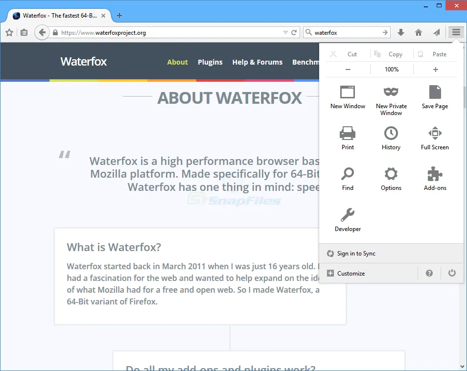 Waterfox 截图 2