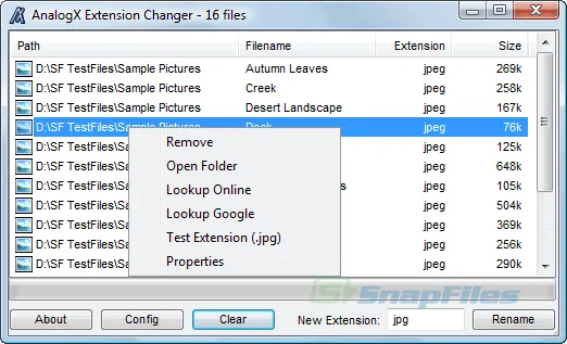 AnalogX Extension Changer 截图 2